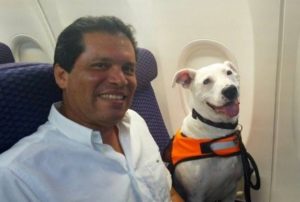 Photo of plane passenger sitting with Manolo, the flying dog, a happy white Pit Bull.