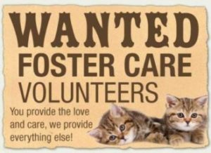 Foster care volunteers wanted poster.