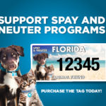 Support Spay and Neuter programs tag flyer.