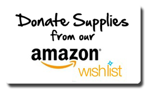 Amazon Wishlist logo