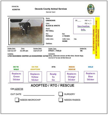 Photo of a shelter kennel card explaing animal's status.