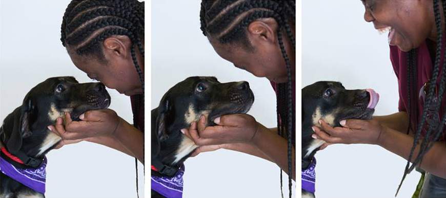 Series of three photos featuring a happy volunteer petting her foster dog.
