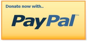 Paypal button and link