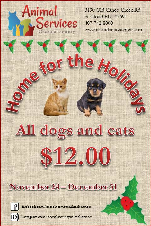 Home for the holidays flyer - all cats and dogs $12.00.