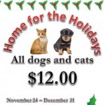 Home for the holidays flyer