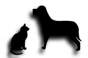 Silhoutte of cat and dog