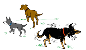 3 dogs playing graphic