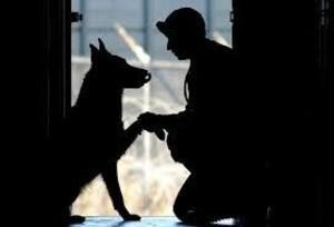 Silhoutte of soldier with dog.