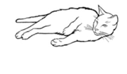 Illustration of a relaxed cat