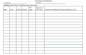 Excel Form for Cat Exercise and Behavior Chart
