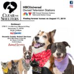 Clear the shelters poster