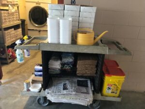 Cleaning cart photo