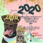 January 2020 special poster