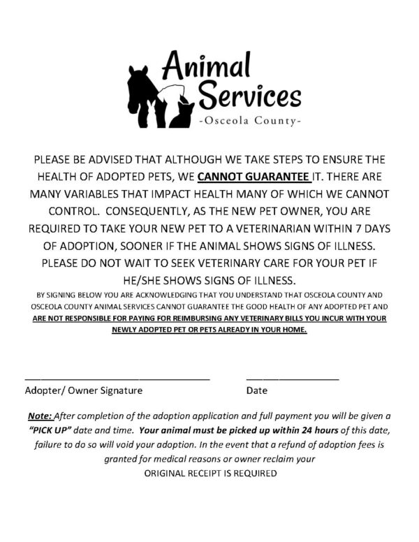 Adoption contract medical statement