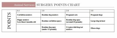 Surgery points chart