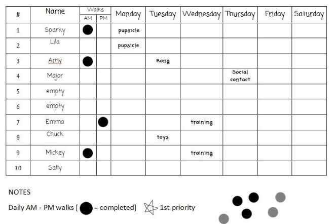 Daily dog care schedule board