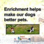 Dog enrichment poster and artwork