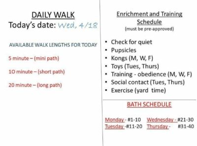 Schedule board details