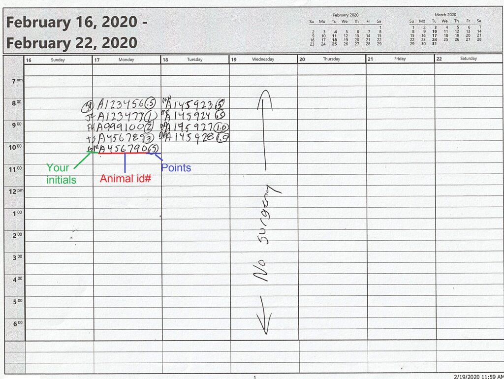 Surgery schedule calendar.