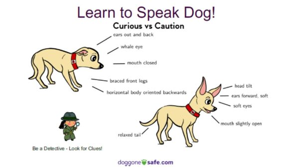 Dog body language chart