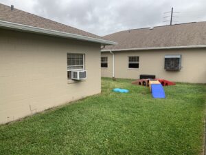 Dog play yard obstacle course