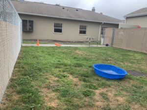 Dog play yard - pool