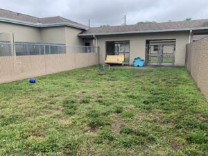 Dog play yard - yard with bench