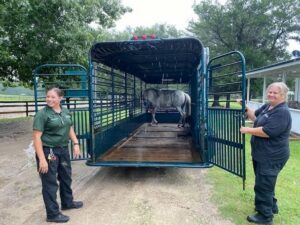 Leslie, left and Charlene deliver Sir Phillip to Mill Creek Farm in Alachua, Florida