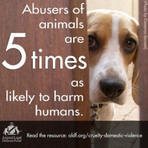 Animal abuse/neglect poster