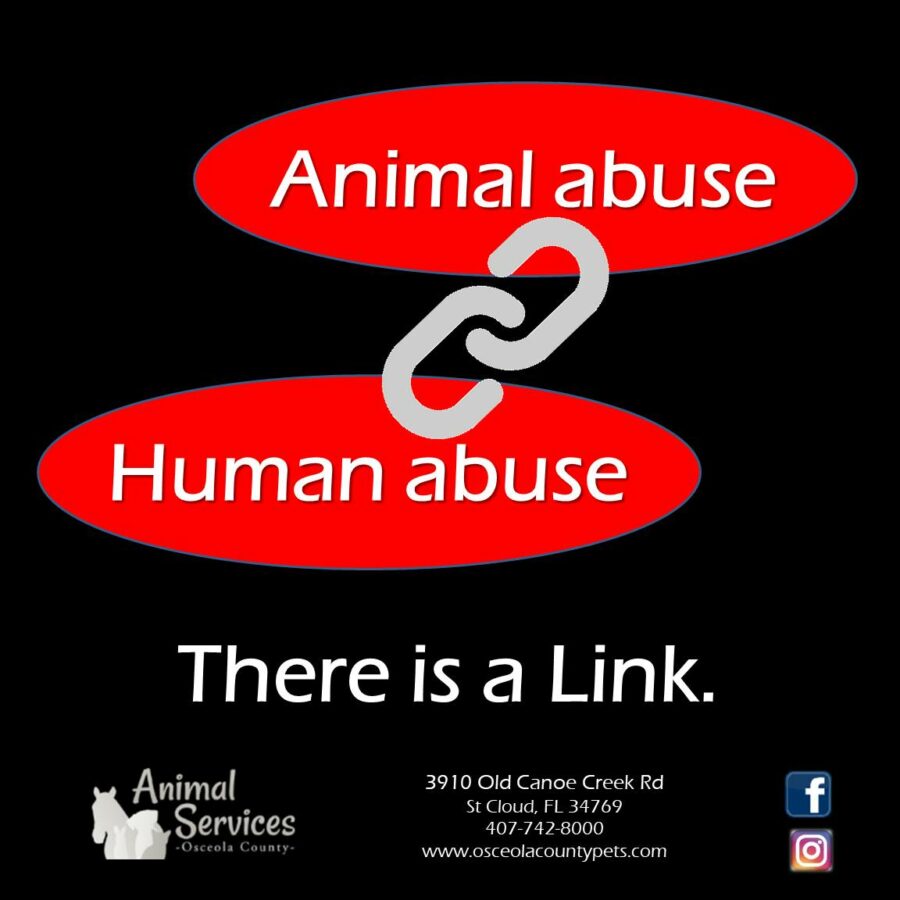 Animal and human abuse: the Link