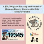 FAF Grant for Community Cat spay and neuter slider and link