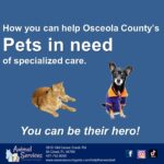 Pets in need fundraiser poster
