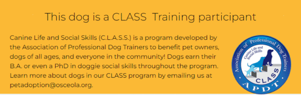 CLASS dog description