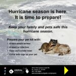 Hurricane prep poster