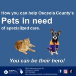 Help the neediest pets poster