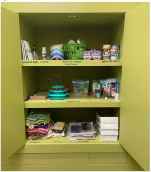 Storage in cat rooms a and b