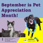 Pet Appreciation Month poster