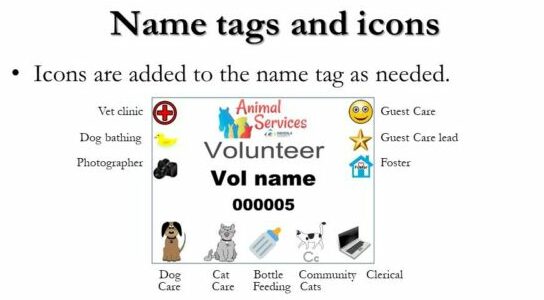 Name tags and icons
