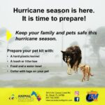 Hurricane prep for pets