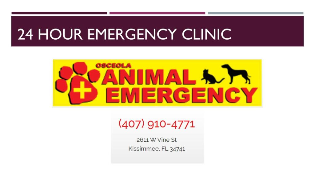 Osceola Emergency Clinic