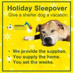 Holiday sleepover poster update