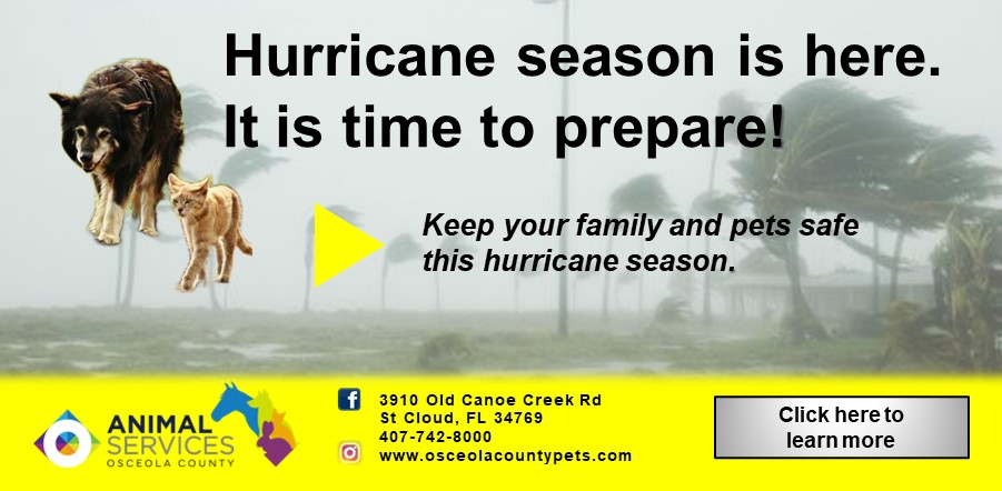 Hurricane prep 2023 slider