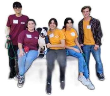 Teen volunteers