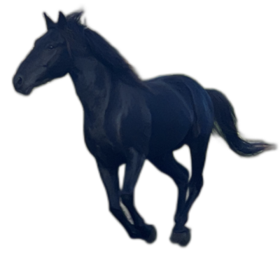 Black horse image