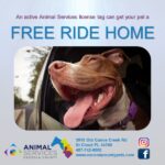 Freee ride home icon