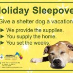 Holiday sleepover ad