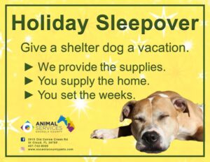 Holiday sleepover ad