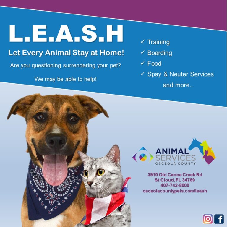 Pet help or surrender