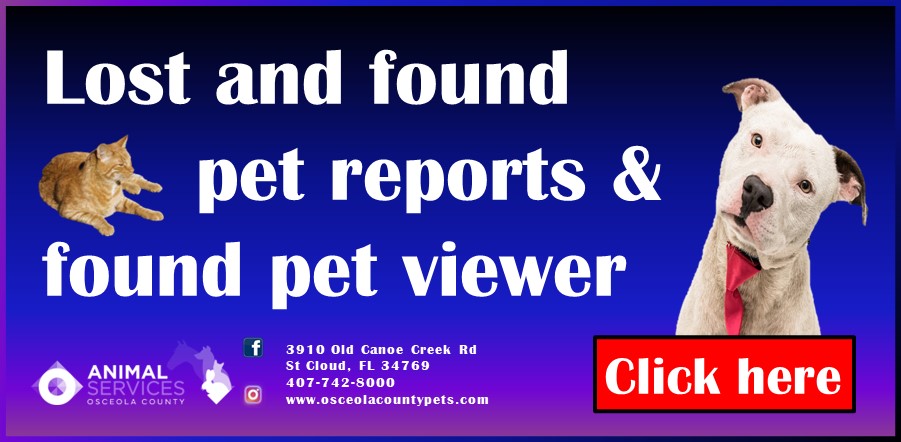 Lost and found pets report slider