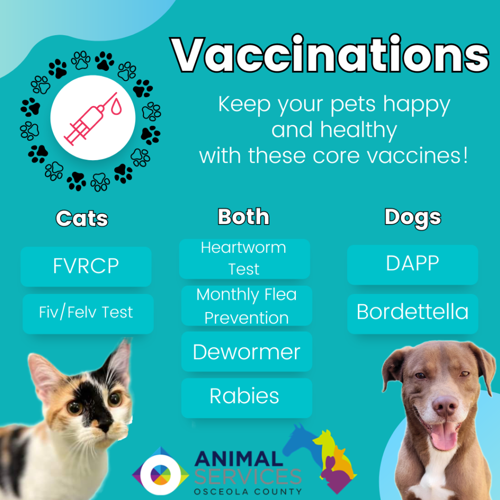 Vaccinationas poster